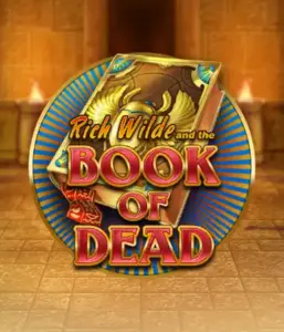 Enter the thrilling world of Book of Dead Slot by Play'n GO, presenting vivid graphics of Rich Wilde’s adventurous journey through ancient Egyptian tombs and artifacts. Uncover lost riches with captivating mechanics like free spins, expanding icons, and a gamble option. Ideal for those seeking adventure with a desire for exciting finds.